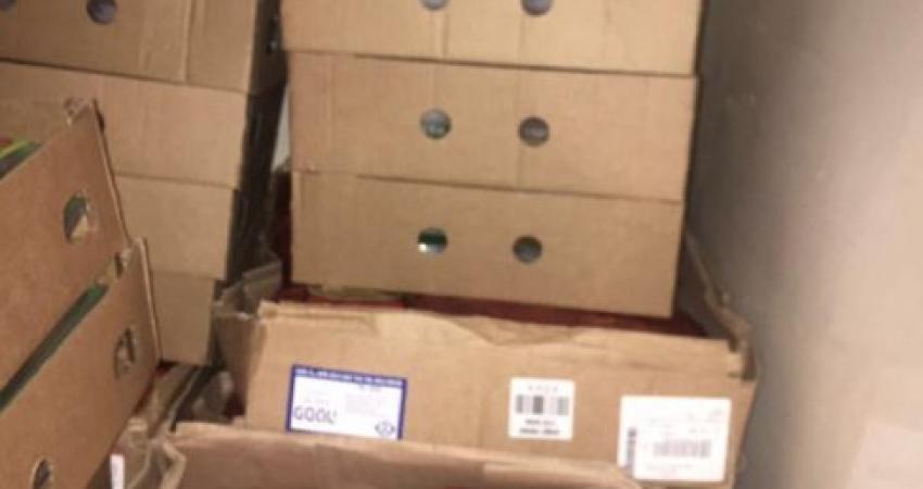 ضبط 240 كغم لحمة 