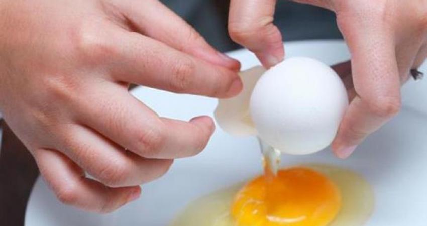 اختبار بسيط يمكنك من اكتشاف البيض الفاسد