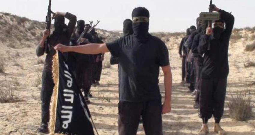 تنظيم الدولة