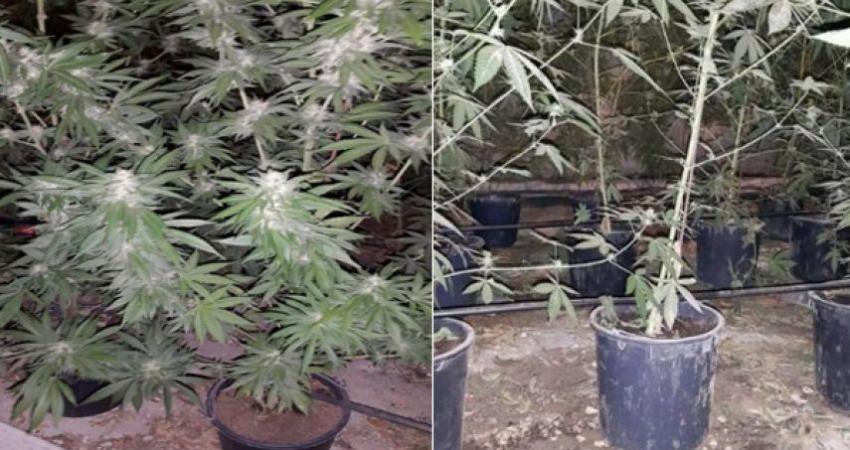 ضبط 6 كيلو من المواد المخدرة بجنين