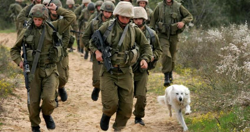 8e2cdf087d2d9bd49feab68737aa2b93