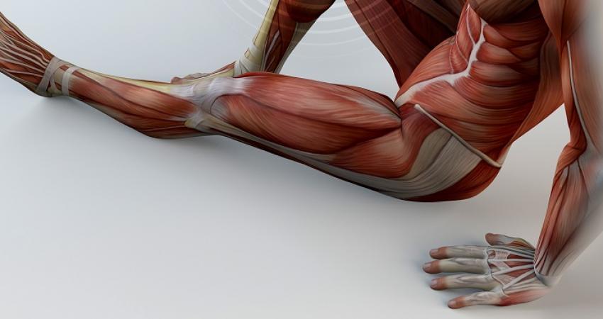 Hip-labral-3