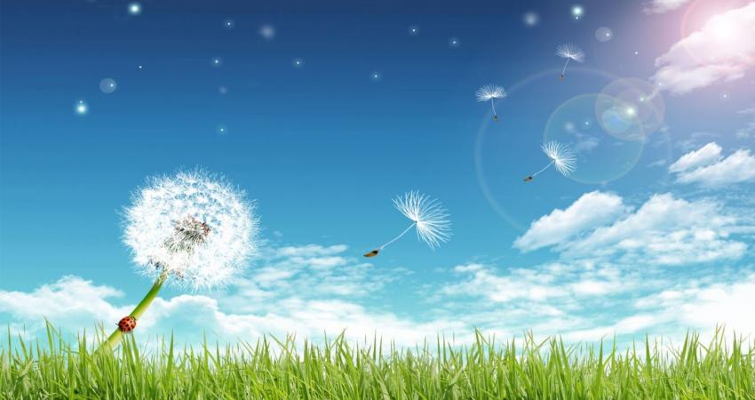 Summer-Nature-Backgrounds