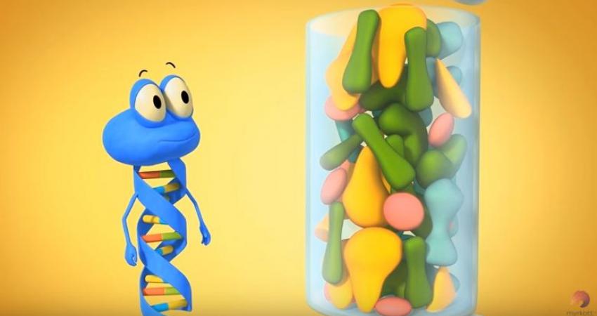 معلومات عن الـDNA