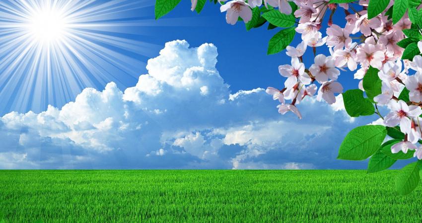 قالت الأرصاد الجوية الفلسطينية، إن ارتفاعا طفيف على درجات الحرارة، بحيث تصبح أعلى من معدلاتها لمثل هذا الوقت من العام بحدود درجتين مئويتين، ويكون الطقس ربيعياً لطيفاً نهاراً، وبارداً نسبياً ليلاً، مع ظهور بعض السحب المنخفضة، وتكون الرياح شمالية غربية خفيف