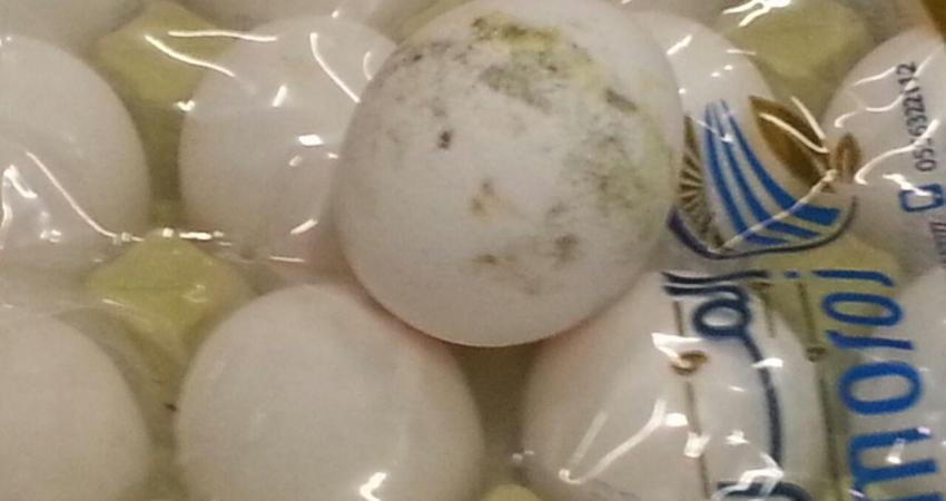 wpid-img-20160323-wa0226