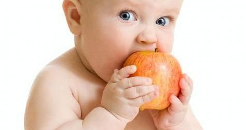 1449728846_sml-bigstock-baby-boy-eating-healthy-food-i-20341478-476x360