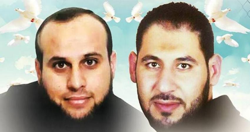 242-jpg-27166507843362315