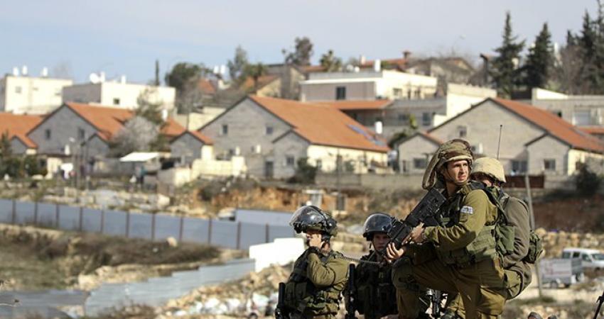  ديفيد فريدمان