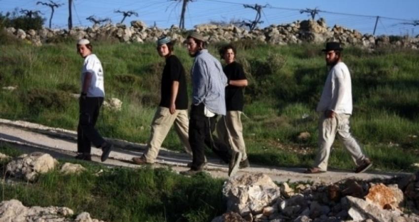مستوطنو ماعون يعتدون على المزارعين في يطا
