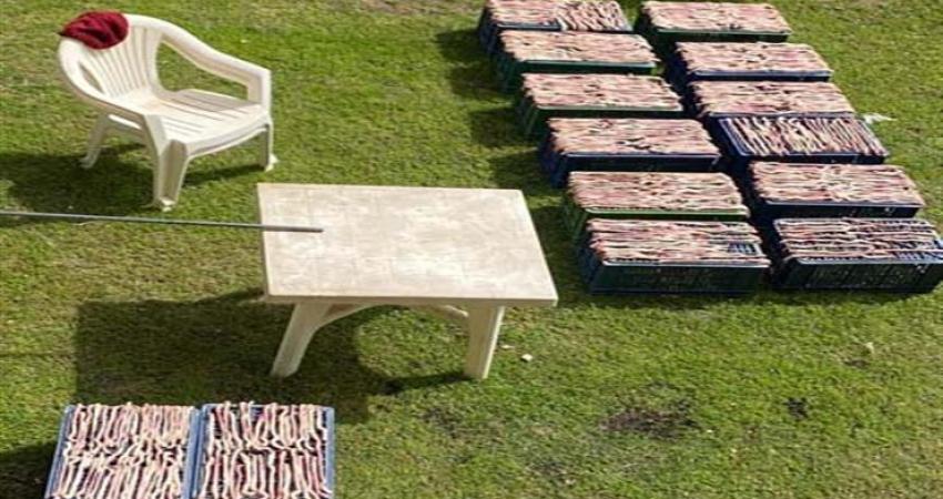 2020_3_25_18_52_23_186