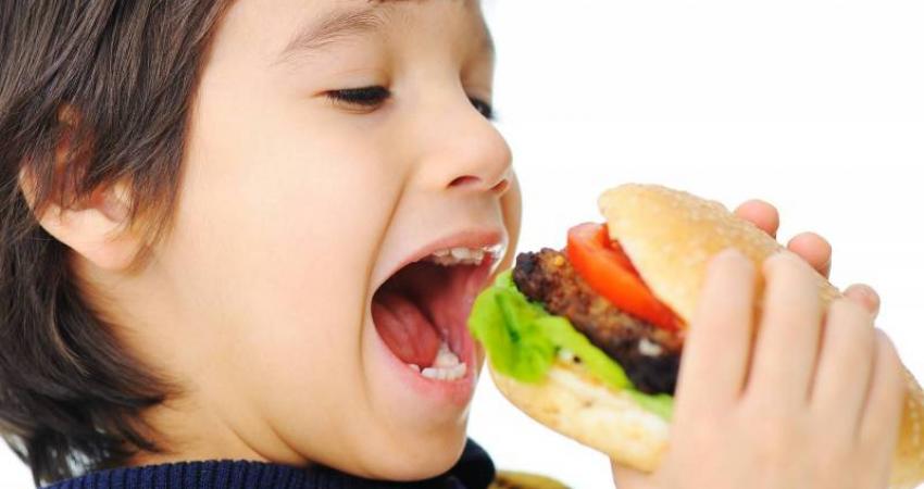 bigstock-Burger-Fast-Food-7057037_522467_large