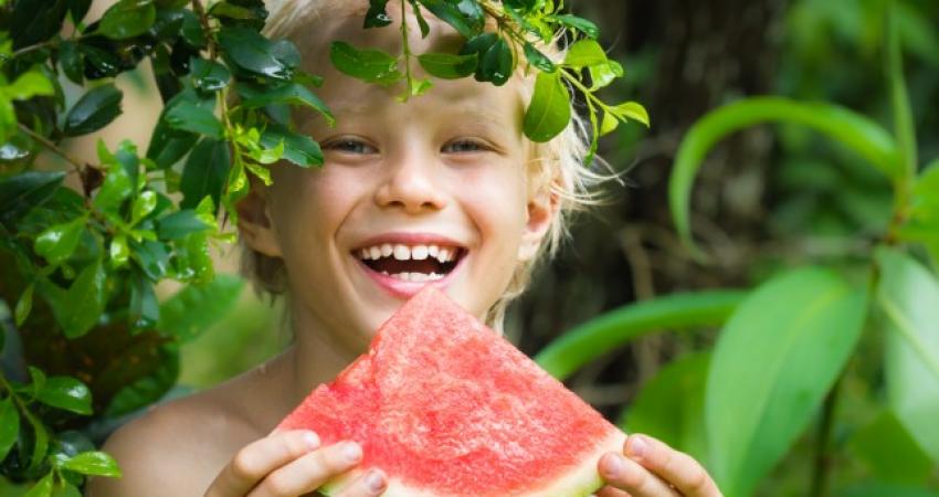 shutterstock_337315772