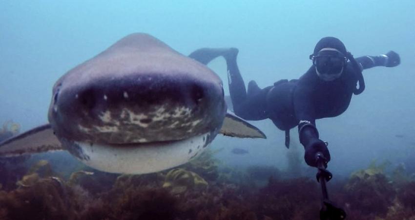 pretty_scuba_selfies