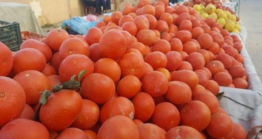 16810019_10212224360348275_248667255_n