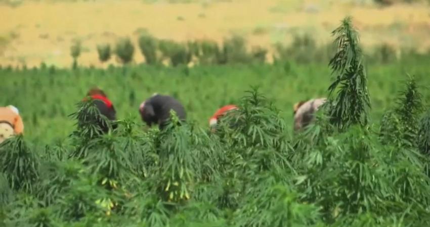 1440x810_cmsv2_e4439d2f-f171-53ca-9473-46338777155f-3238792