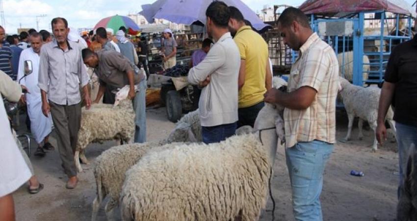 موسم عيد الأضحى