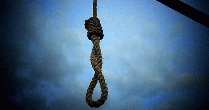 23037_660_3068958012