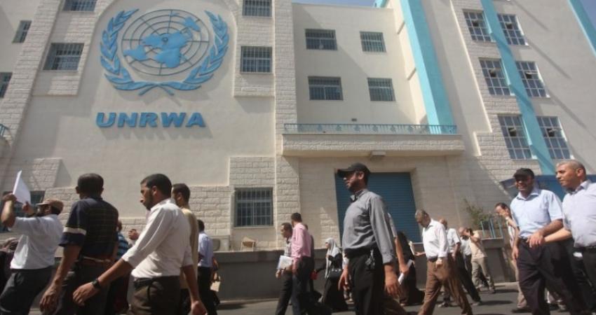 thumb (63)