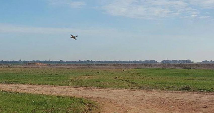 17759833_1437097099686132_42523366723592468_n