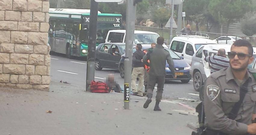 1492388_894488047260283_2099103179983785698_o