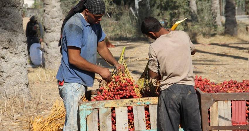 14492498_641672546002297_6891871962006191001_n