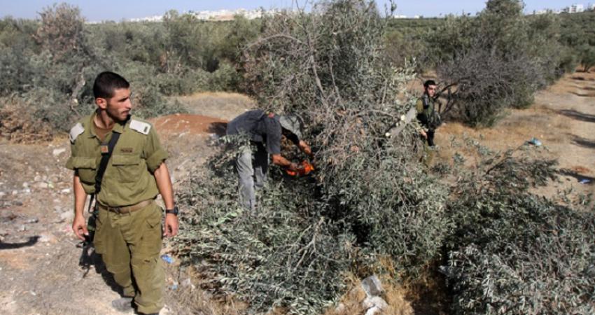 a73782e9-bb19-4ea8-8018-ab897d12bc21