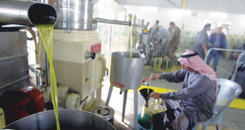 الأردن يسمح بإدخال زيت الزيتون الفلسطيني للملكة