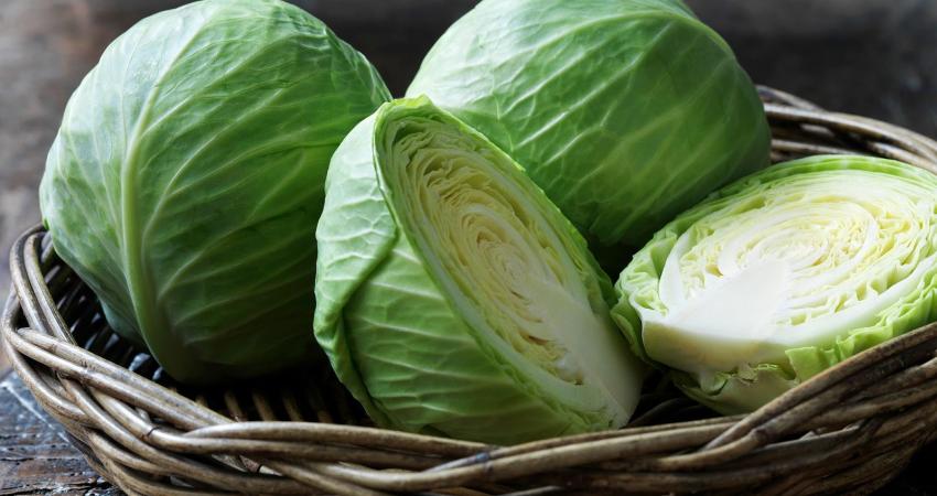 cabbage-gettyimages-683732681-586599443df78ce2c32dd4c3