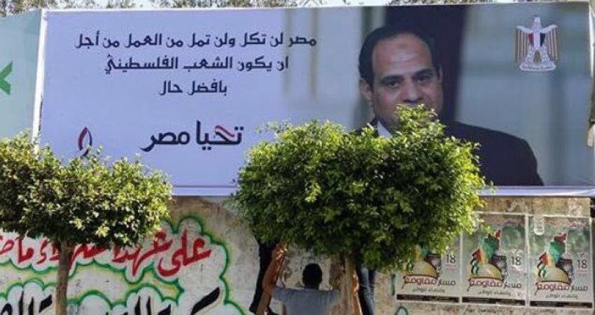 سيسي