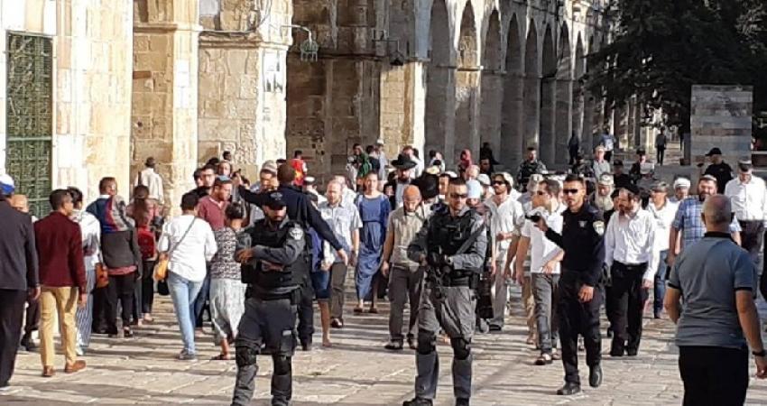 129 مستوطنا وجنديا للاحتلال يقتحمون الأقصى