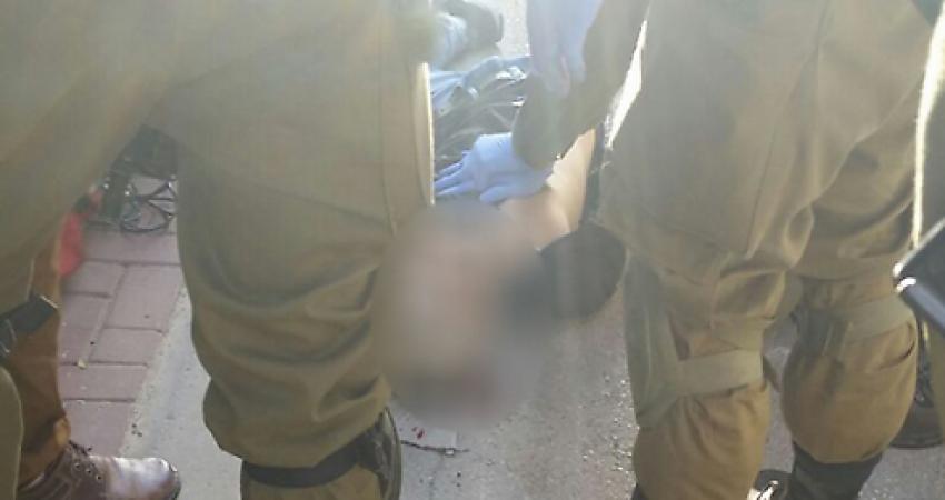 6562654492280autoresize