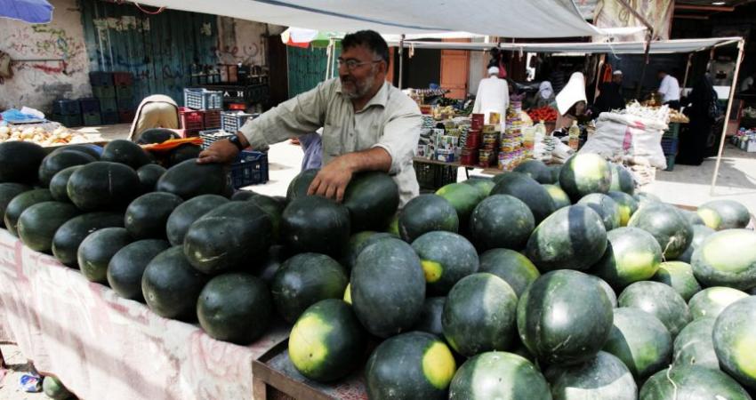 البطيخ في غزة