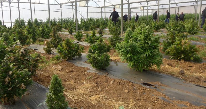 dc2959cb4b2065b41e1a79137f911325