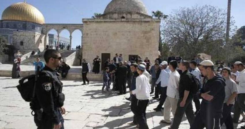 31 مستوطنًا يقتحمون الأقصى بحراسة مشددة
