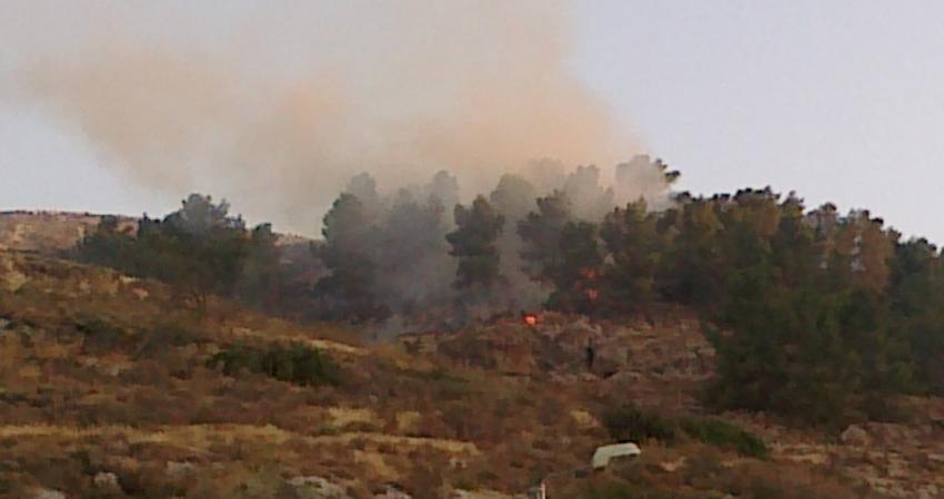 57283984a547c9c783fff26c9d5a87a5