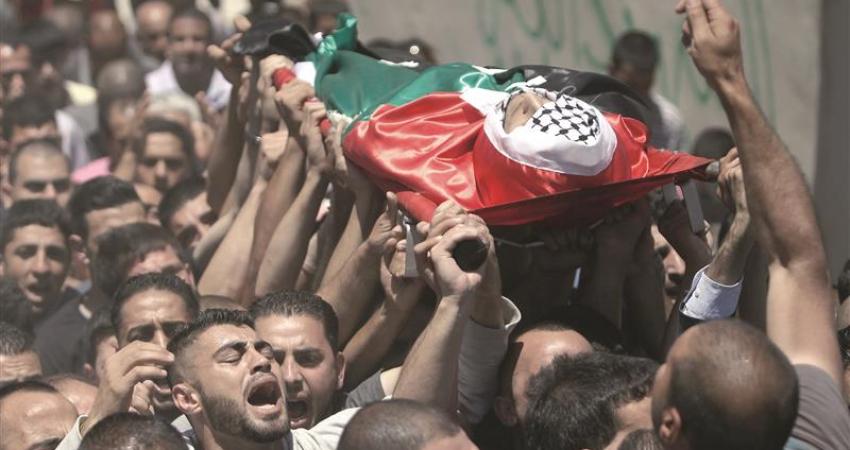 6350ef3f-f4f6-439b-b621-82893a935302