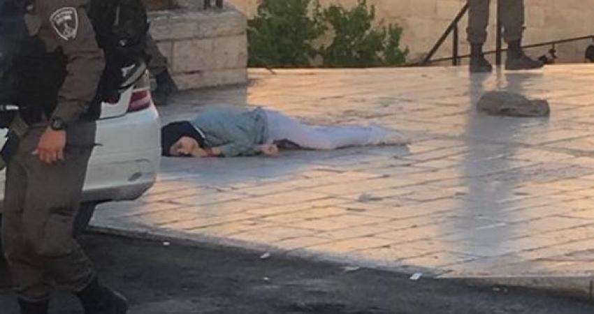 بتسيلم: حجيجي لم تشكّل خطرًا فعليًا على الشرطة الإسرائيلية