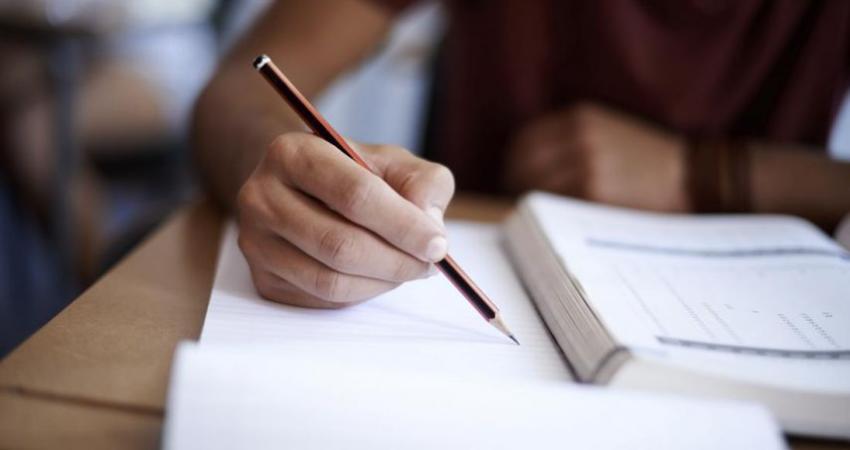 وظائف التعليم بغزة