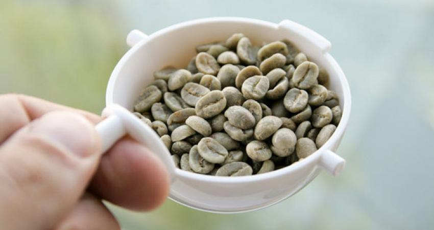 greencoffe_wide-536791a18dbcb20d78fd386ef0959b85ea467ac2-s900-c85