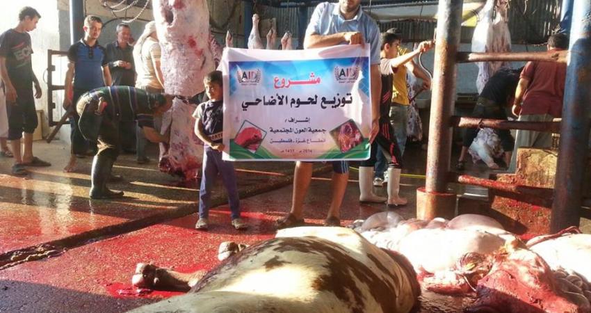 14390671_188789284877205_8539811029573832552_n