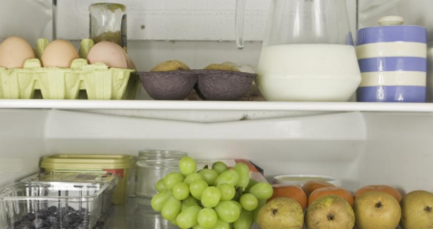 n-FRIDGE-large570
