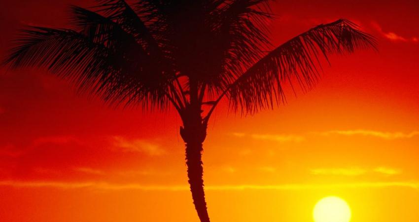 Warmth of Summer, Maui, Hawaii