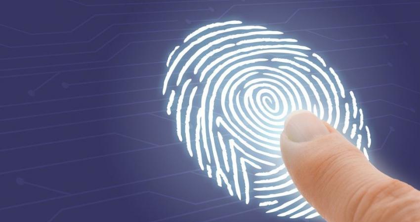 fingerprint