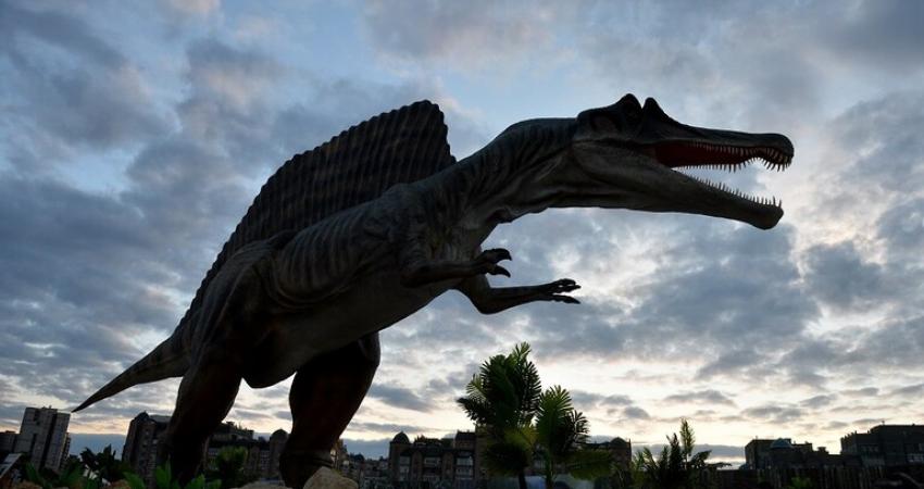 5e23184342360453bf54d542