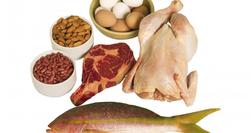protein5