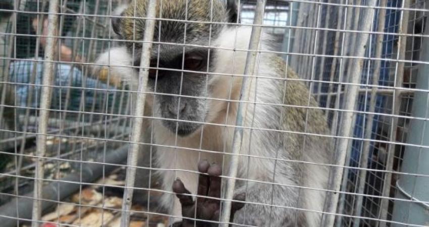 29a682d73687fdd64d4d8090f256a77b