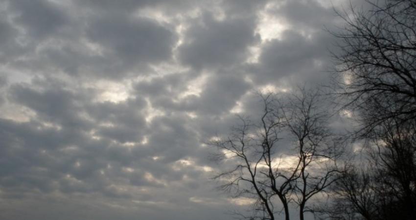 thumb (1)