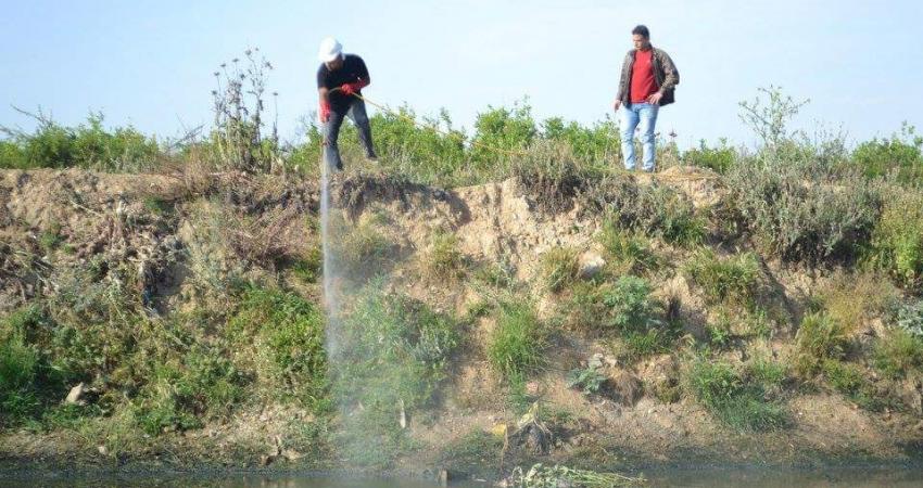 13015168_833701190107100_8062084257854811511_n