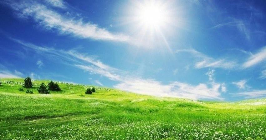 d9b181790a0423b2c93bfbe4fe55890e